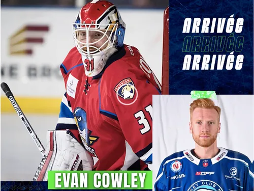 Evan Cowley, le nouveau gardien des Ducs d'Angers